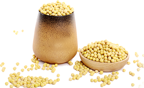 1490268563357077.png gywm.png